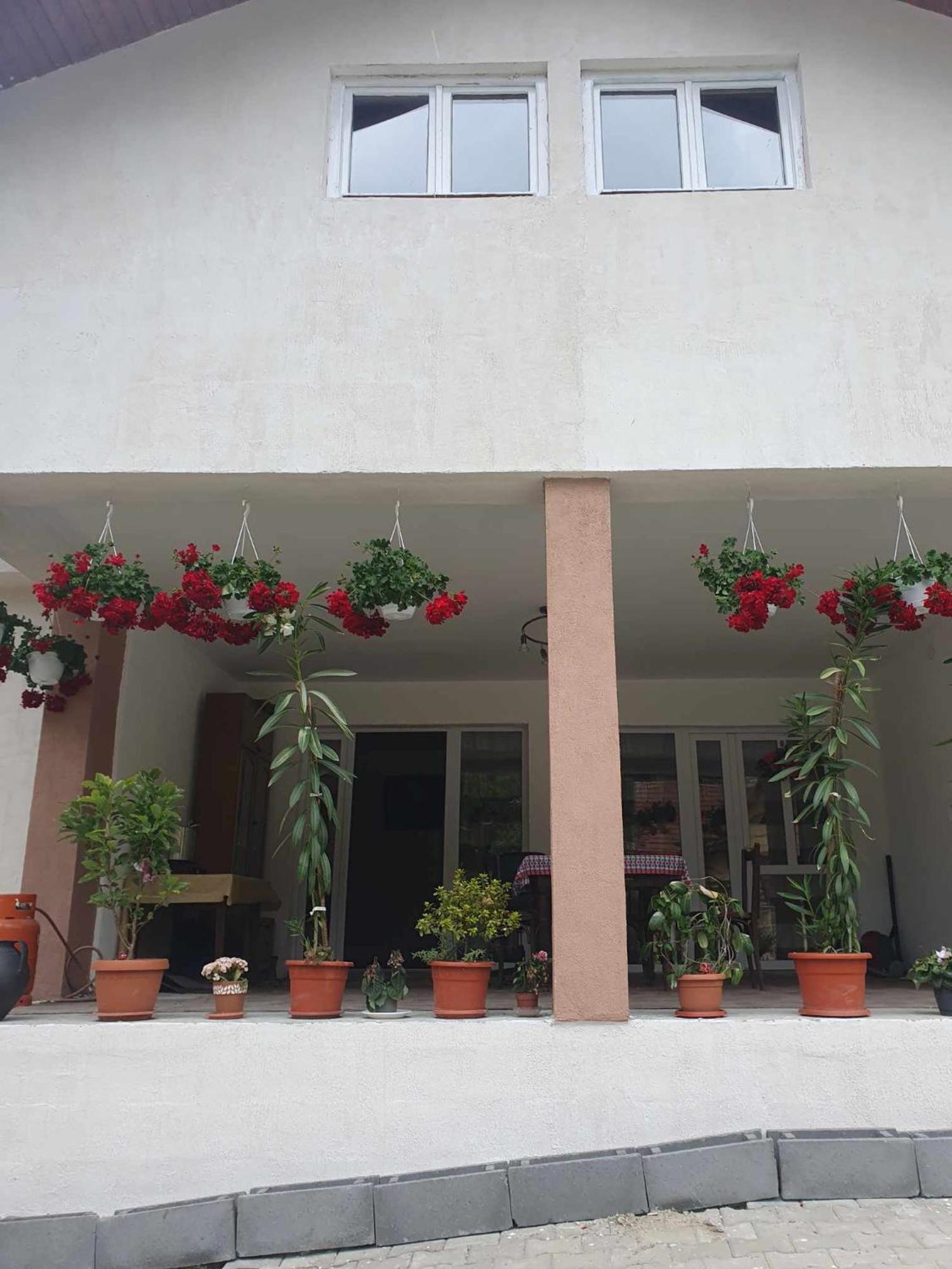Casa Maksai Hotel Sovata Luaran gambar