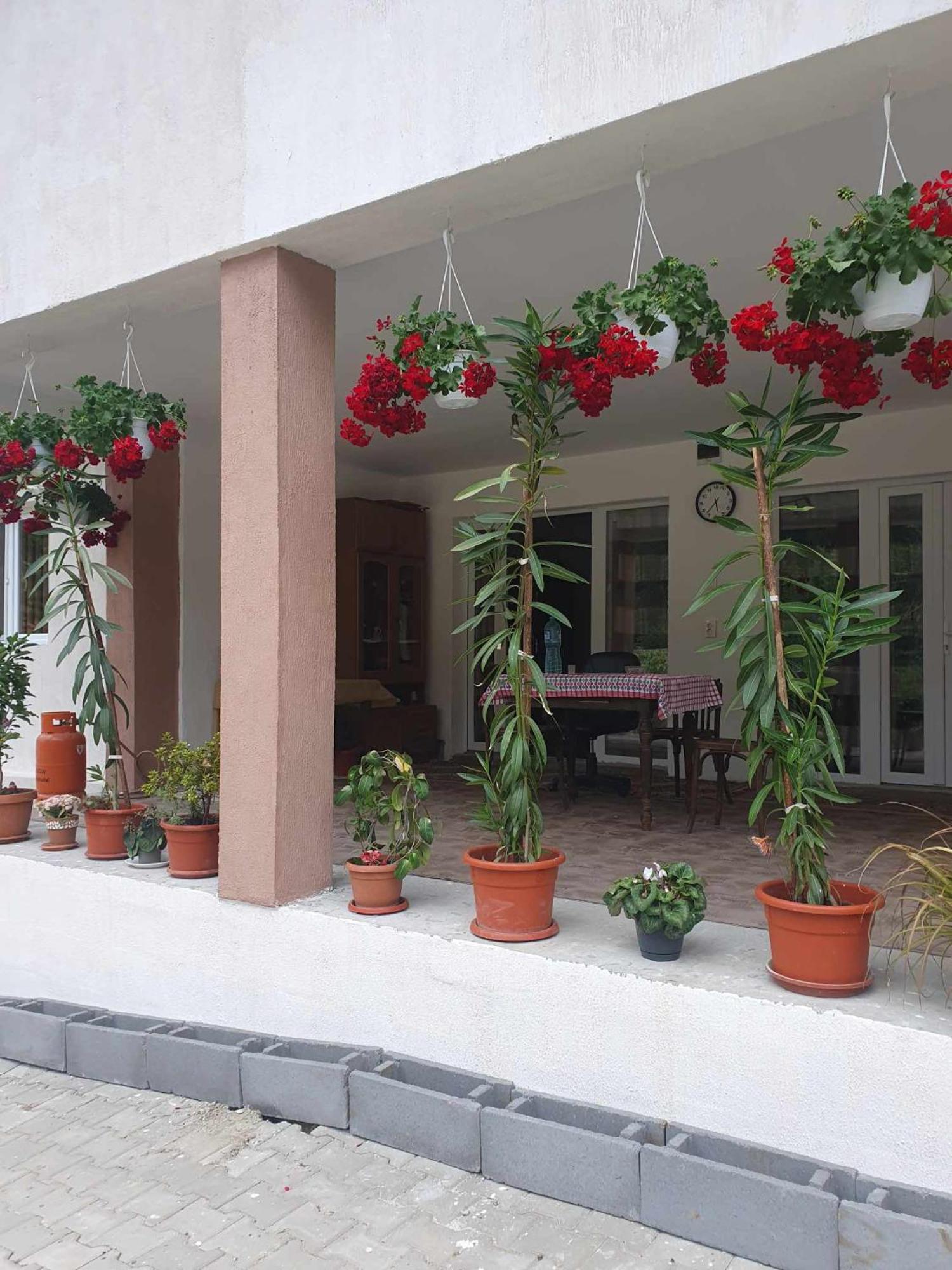 Casa Maksai Hotel Sovata Luaran gambar