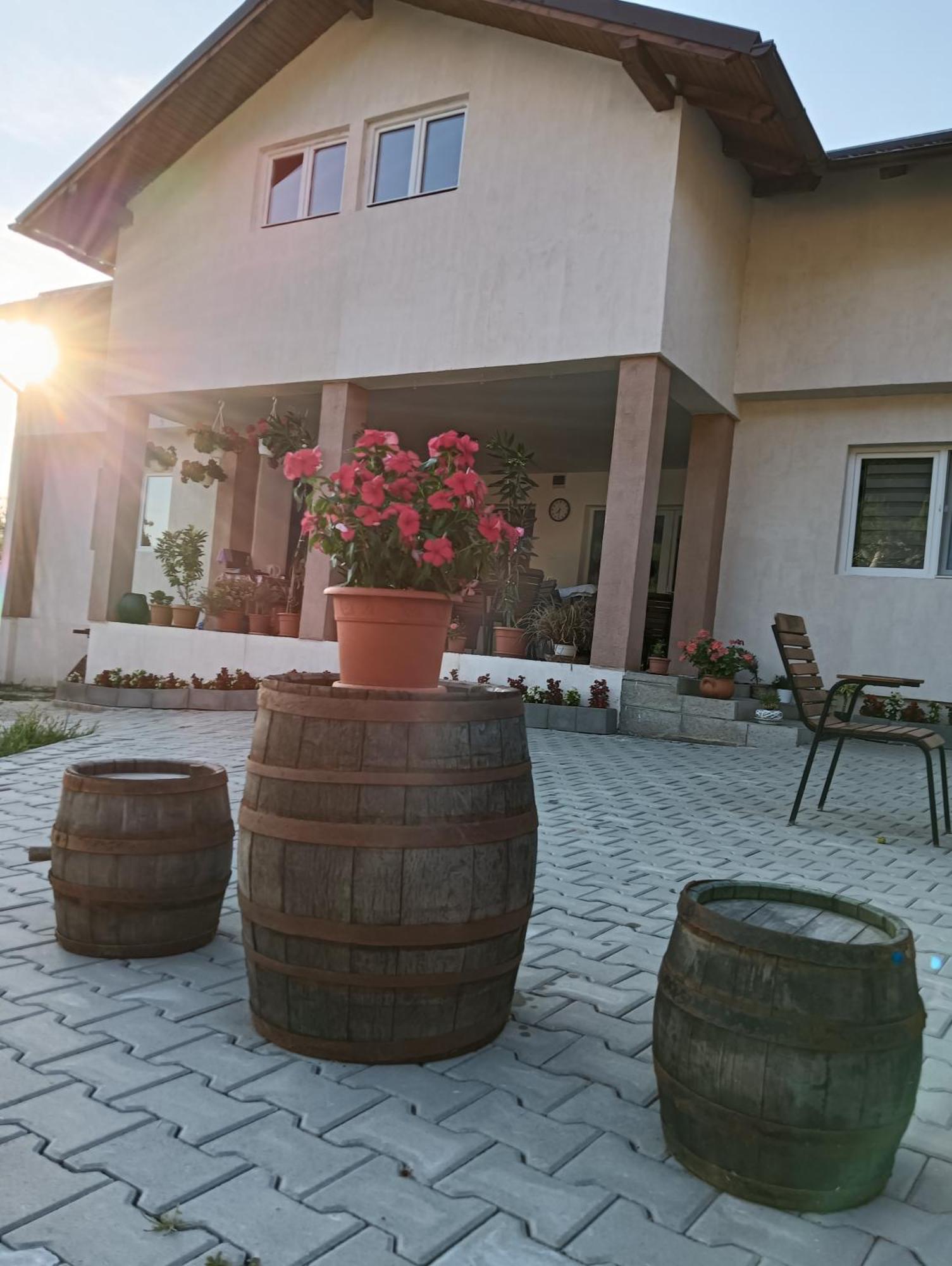 Casa Maksai Hotel Sovata Luaran gambar